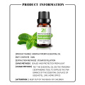 Organic Mentha Piperita essential Oil Mint Oil Bulk