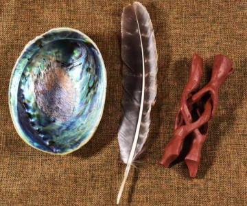 Natural Sea Shells Mother of Pearl Abalone Shells from New Zealand for Decoration and Crafts