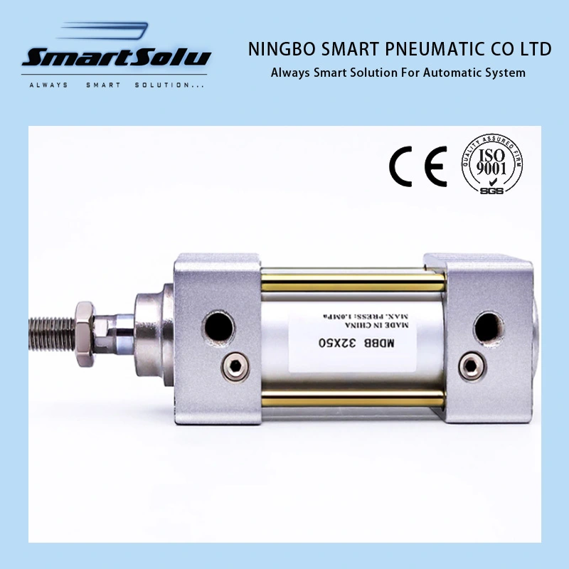 Spring Return Double Rod Stainless Miniature Boosting Pneumatic Air Cylinder