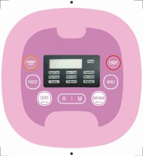 Multi cooker for traveler