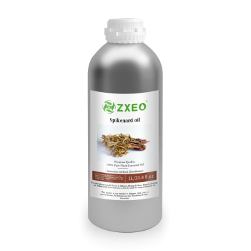 Pure Natural Spikenard Oil Essential para productos de atención médica