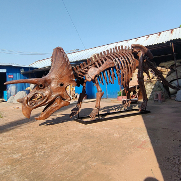 Most Complete Triceratops Skeleton