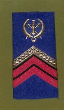 Shoulder board