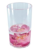 Decorated Acrylic Tumbler with insert