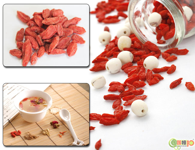 Dried Goji Berry Super Fruit From Ningxia, China