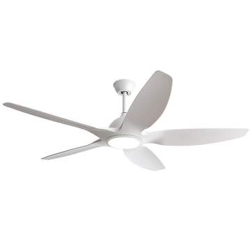 Powerful Ceiling Fan with Light