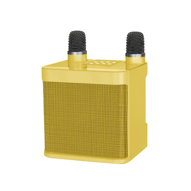 HiFi Wireless Bluetooth Mini KTV Karaoke Speaker with dual microphone