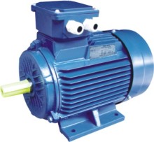LTP Y2 Series Electromotor