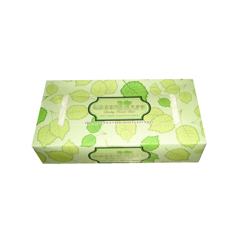 Facial Tissue 13