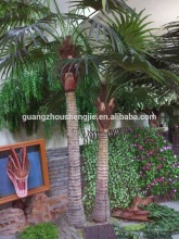 SJ2001205 Home Indoor Using cocount plam tree factory outlet