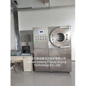 Small Freeze Drying factory