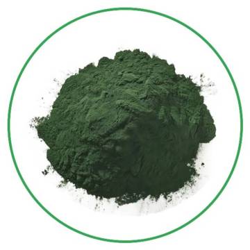 Certified organic spirulina powder with high protein