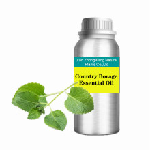 100% Pure Natural Country Borage Oil Oils Bulk Indian Borage Mexican Mint Spanish Thyme Essential Oil New