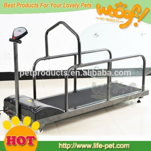 dog fitness running treadmill