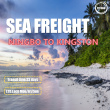 Ocean Freight From Ningbo To Kingston Jamaica