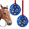 Horse Treat Ball Hay Feeder Toy