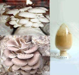 Pleurotus ostreatus extract