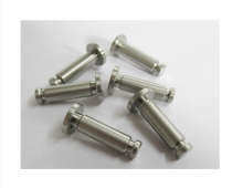 Stainless Steel Latch Pin