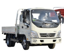 FOTON LIGHT TRUCK LONGER CARGO BODY small  truck foton OLING mrt foton petrol mini truck
