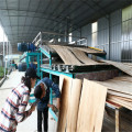 Plywood Core Veneer Dryer Equipments