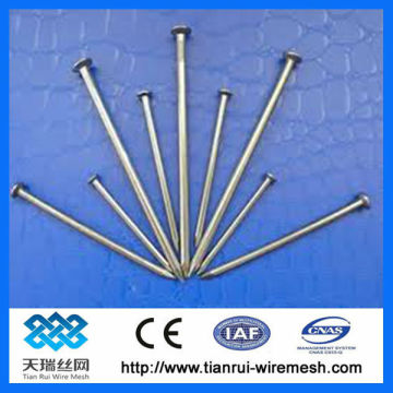 Widely used hardware common iron nails(factory)