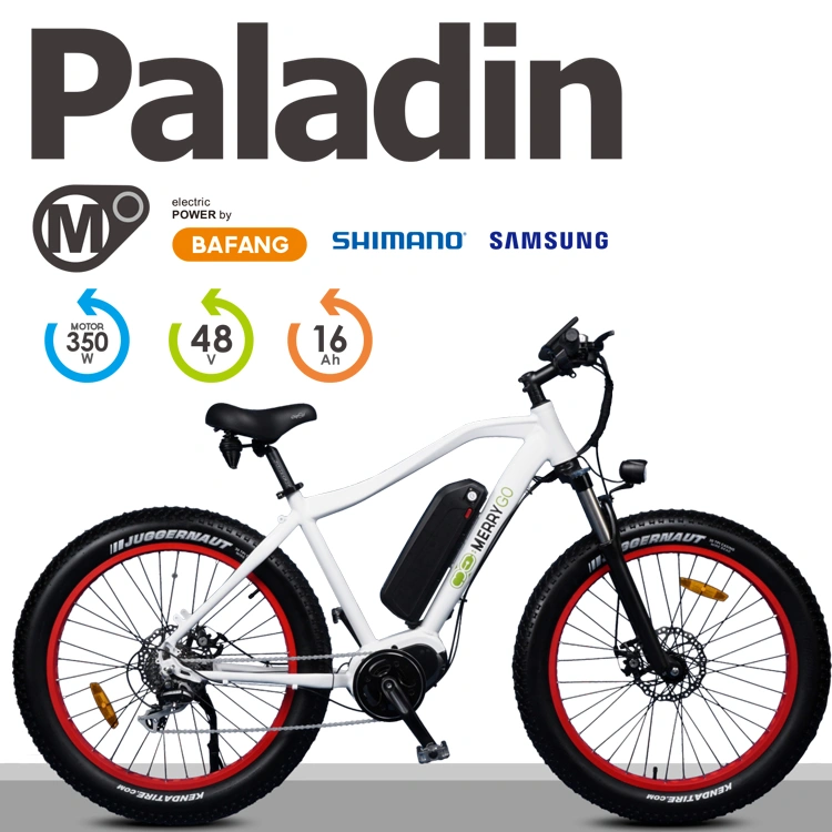 En15194 Approved Middle Drive Motor Electric Bicycle