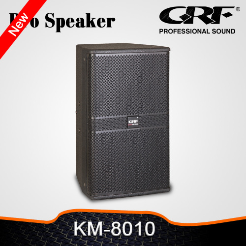 Grf 10 Inch 2 Way Professional Speaker
