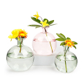 Vase de fleurs en verre de 240 ml pour la décoration intérieure