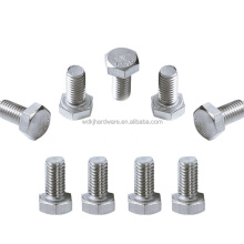 Boulon Hexagonal en Acier Inoxydable Fini Poli M6