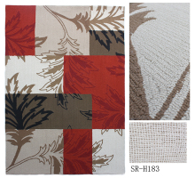 Hand Hooked With Fashion Design Carpet