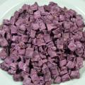 Dried Purple Potatoes Non-Cooked Raw Potato