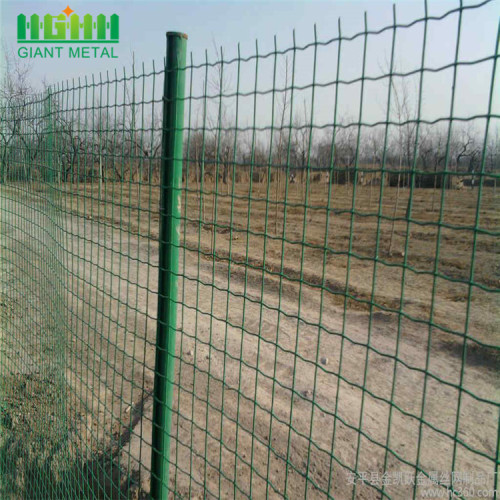 Pagar murah PVC Dilapisi Euro Belanda Wire Mesh