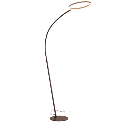 LEDER Decorative Floor Light Lamp