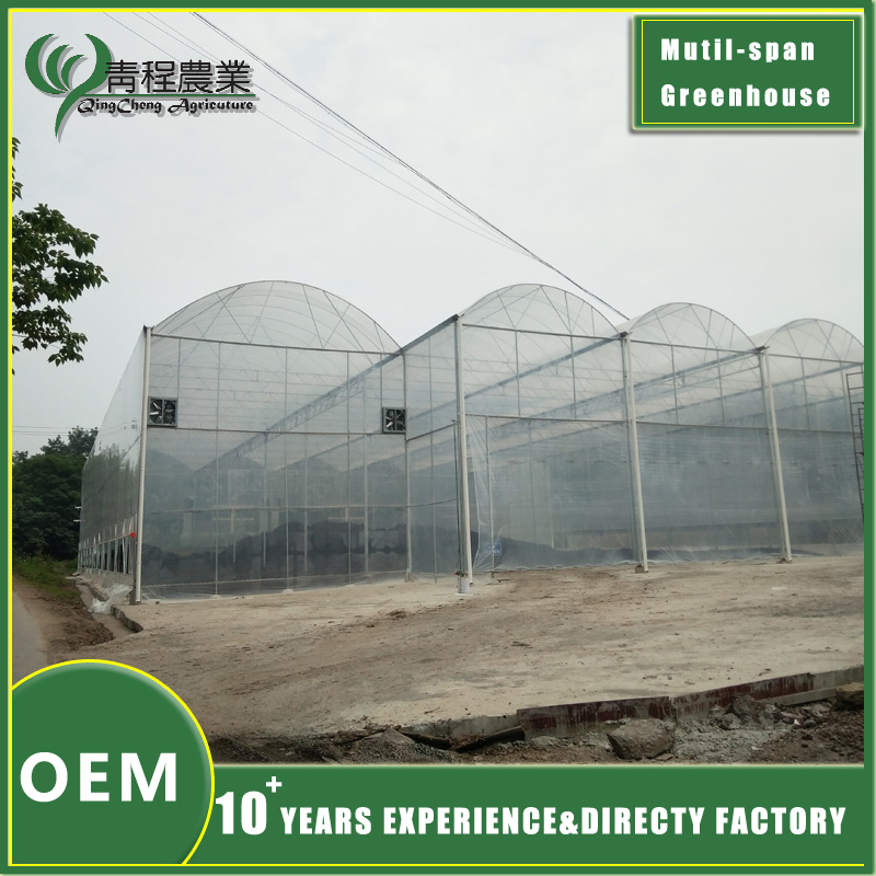 цяпліца з шматпралётным астуджэннем greenhouse with multi span cooling