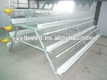 commercial poultry battery layer chicken cage