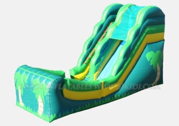 Inflatables, Inflatable Slide, Inflatable Bouncers (B4062)