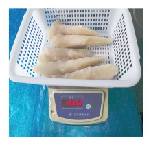 frozen monkfish fillet without belly,frozen iqf monkfish fillet,frozen monkfish fillet for sale