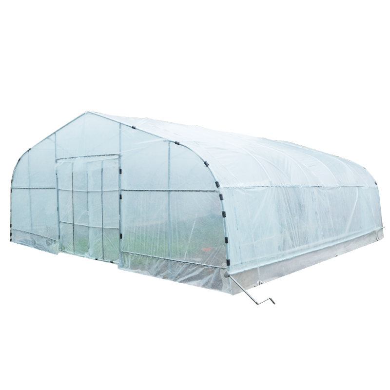 Strong Structure Agricultural Reinforced single Greenhouse