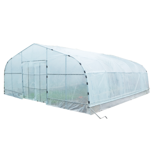 Agricultural film Tunnel Plastic greenhouse for lettuces