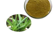 Powder Aloe Vera Extract Polysaccharide 98%