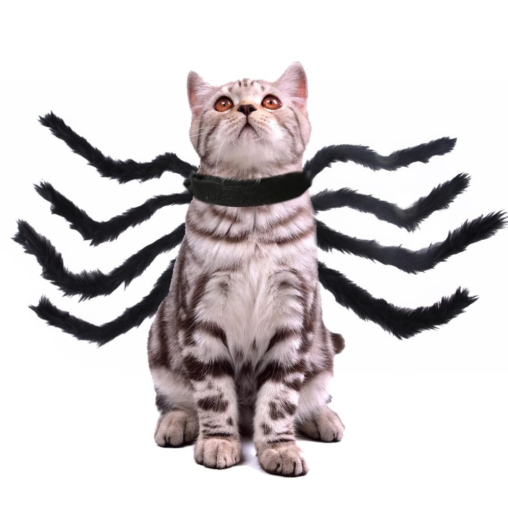 Amazon Pet Halloween Christmas Chest Back Creative Cat Dog Small Dog Spider Mutable Clothing