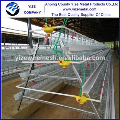 poultry breeding equipment/equipment for poultry/poultry heaters equipment