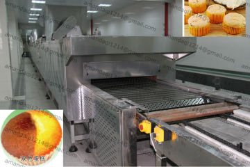 drying tunnel oven