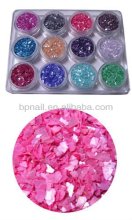 Shell Powder Set For Nail Art