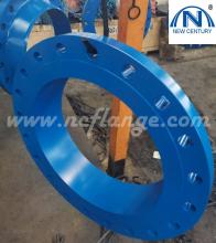 B16.5 300lb Blue Paiting Welding Neck Flanges