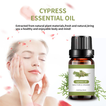 Bulk natural cypress essential oil