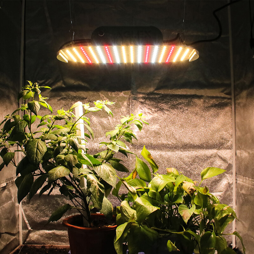 Đèn chiếu sáng tăng trưởng không quạt 90w để trồng tại nhà