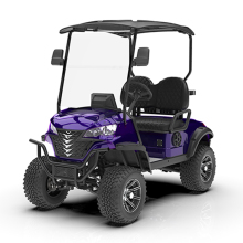 Customized 4kw 48v AC Motor for Electric Golf Carts and Scenic Spot Vehicles