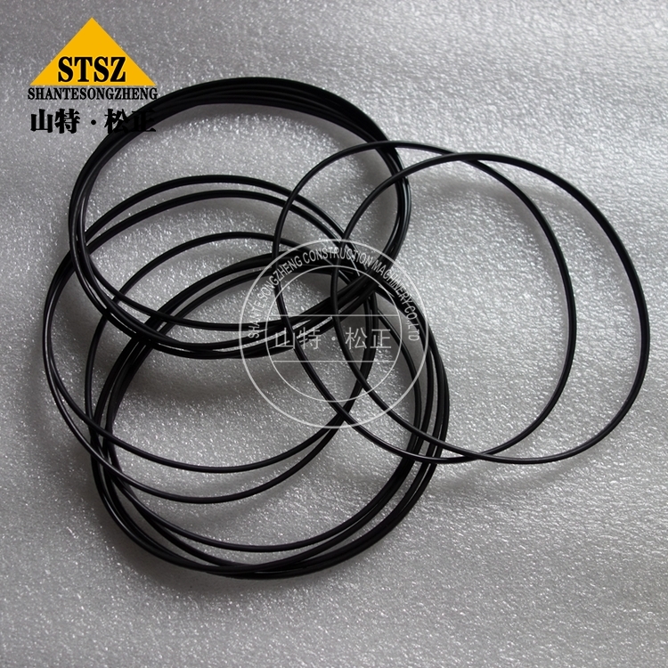 Oil Ring Seal 3899283