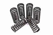 Reliable Automotive Clutch Spring